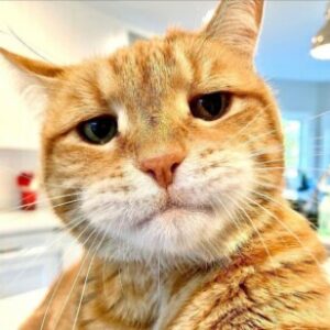 Profile photo of ฟาฮัด สันอีด
